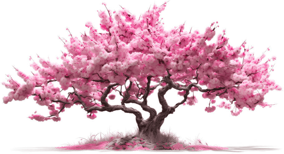 Knowledge image